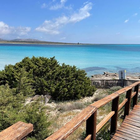 Civico34 House 3 - I Giardini Dell'Ancora Villa Stintino Dış mekan fotoğraf