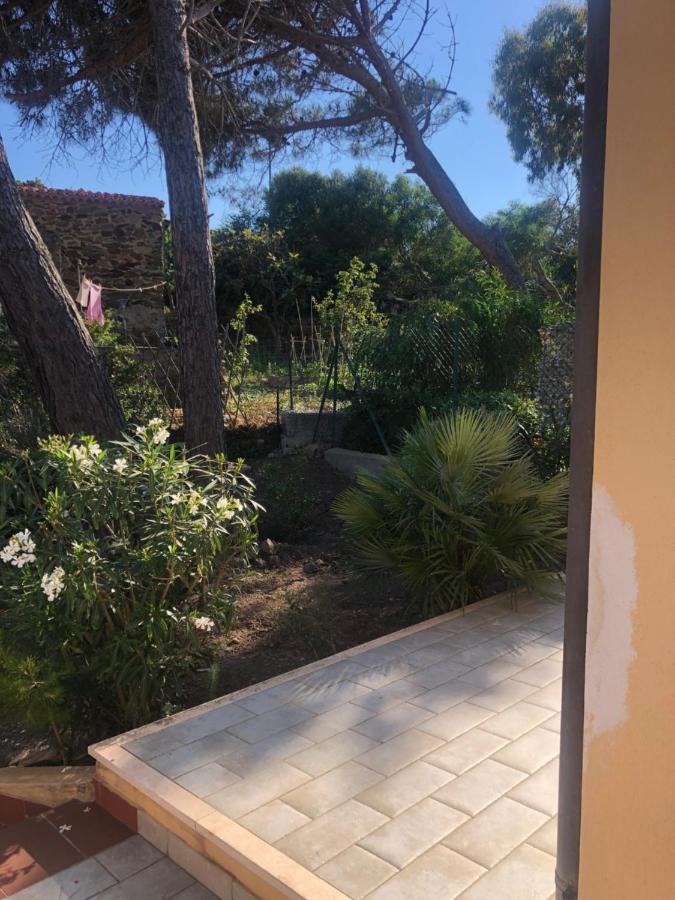 Civico34 House 3 - I Giardini Dell'Ancora Villa Stintino Dış mekan fotoğraf