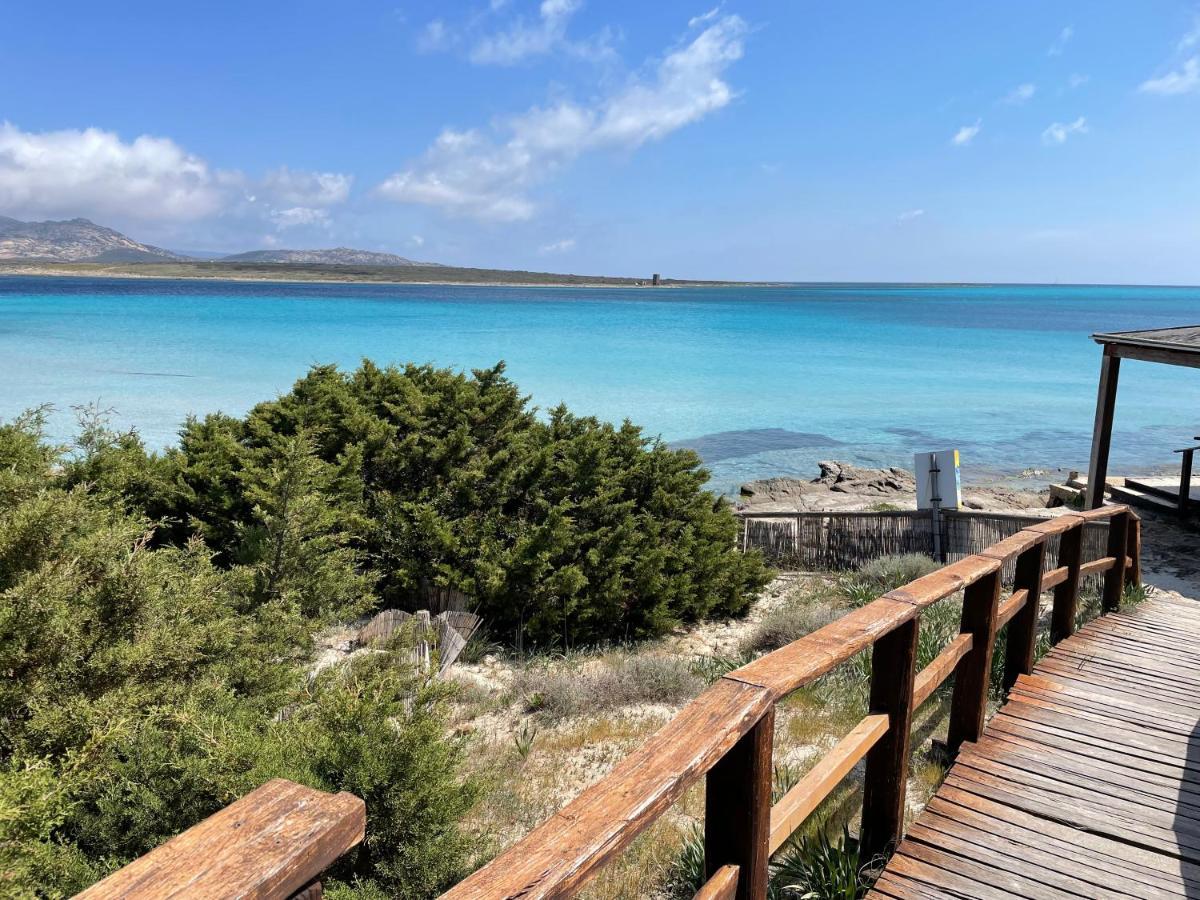 Civico34 House 3 - I Giardini Dell'Ancora Villa Stintino Dış mekan fotoğraf